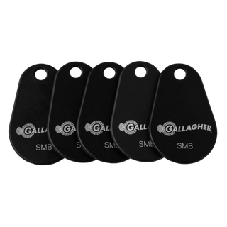 Gallagher SMB Key Tags x 10 - Black